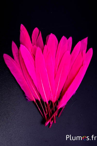 Oie Lame - 10-15 cm - fuchsia